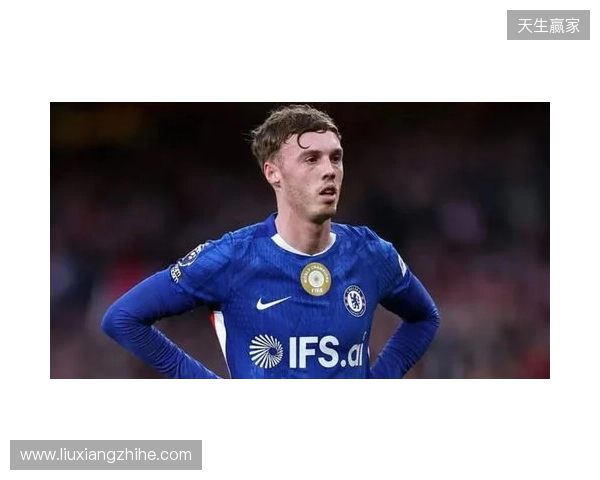 帕尔默：此前连输四场滋味并不好，赢维尔港让大家重拾好心情