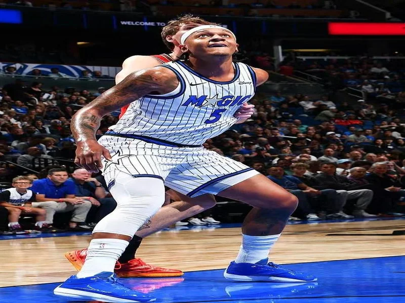 TZ：拜仁考虑回购后腰阿塞科替格雷茨卡，他被称作身体怪兽